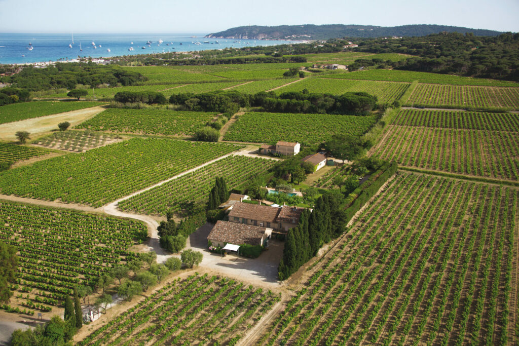 Les Maîtres Vignerons  de Saint-Tropez, Les Ambassadeurs des grands vins de Provence