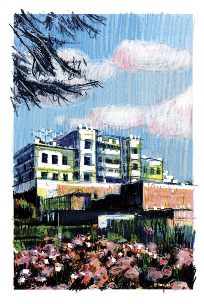 Une renaissance en majesté