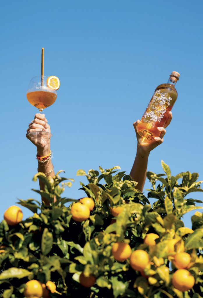 Du soleil & du Pampy