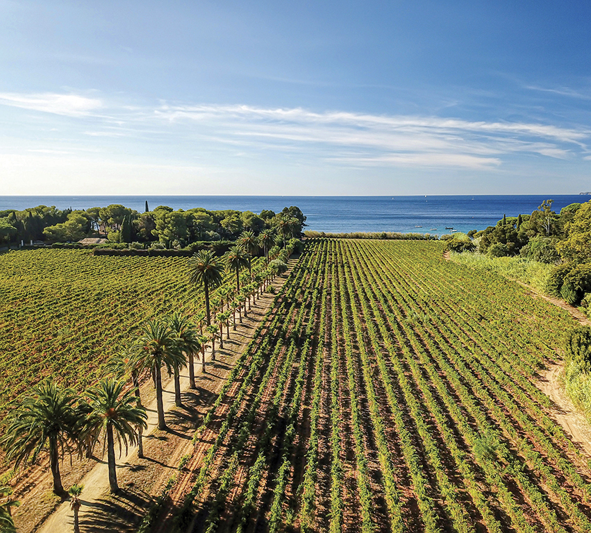 Vivre le vin autrement