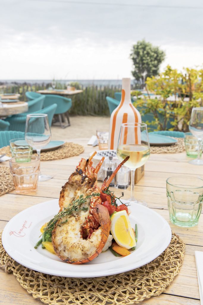 DÉJEUNER LES PIEDS DANS LE SABLE