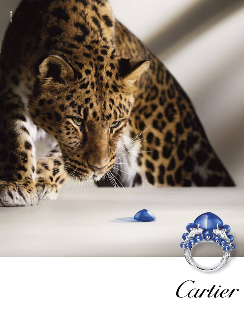 Pure-Saint-Tropez-111-Mai-2026 Page 164